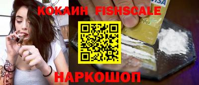 стафф Дубна