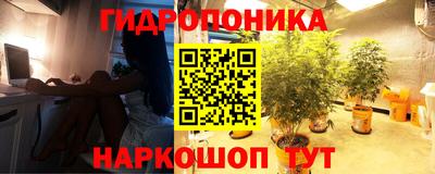 скорость Донской