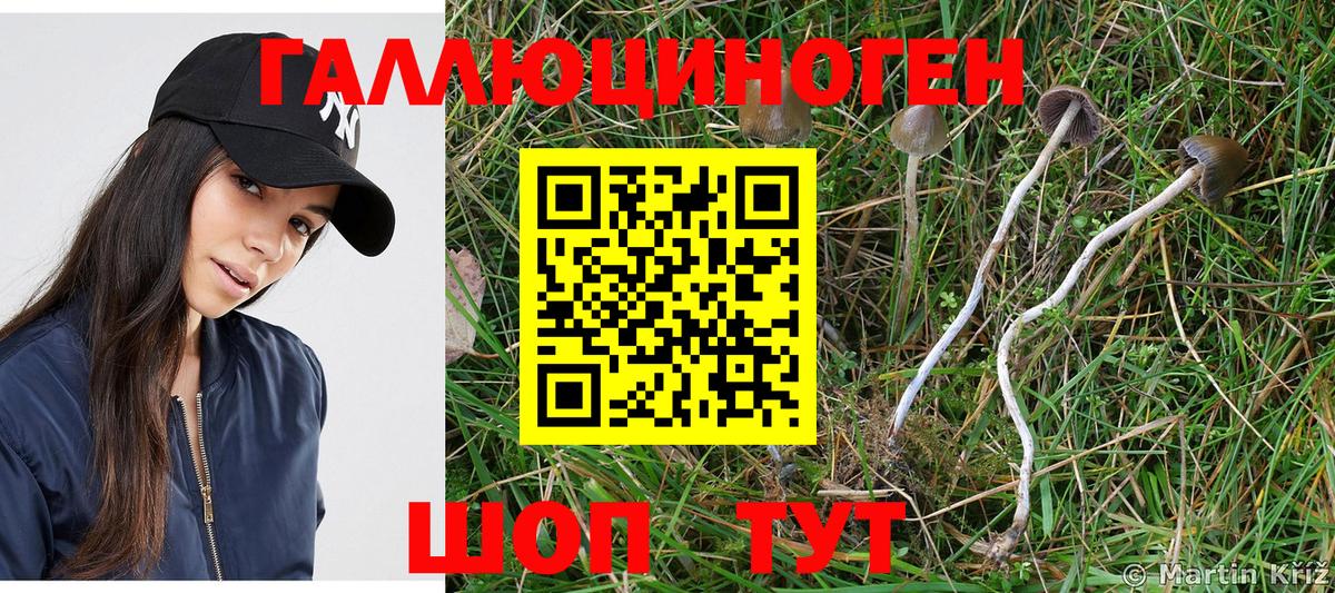 Ликино-Дулёво  Галлюциногенные грибы Psilocybe  Вход с VPN 